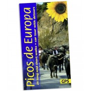 Picos de Europa Sunflower