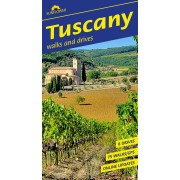 Tuscany Sunflower