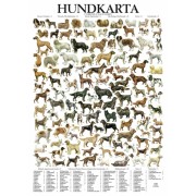 Hundposter