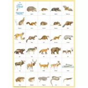 Svenska djur affisch